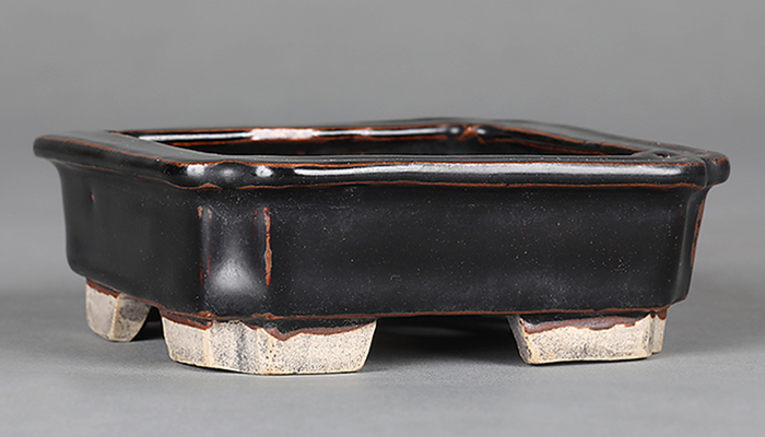 小糸泰山飴釉正方鉢
