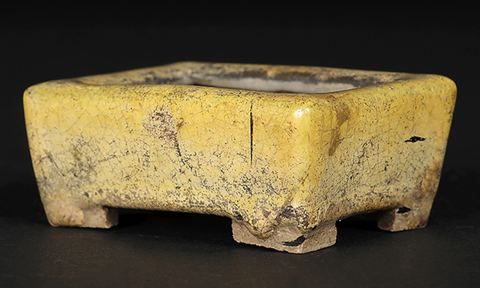 稚松愛草黄釉長方鉢