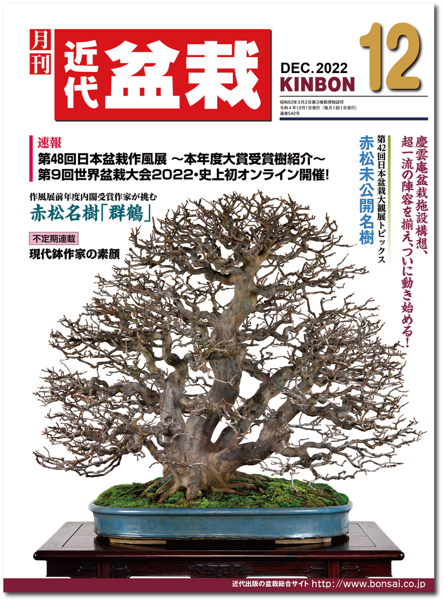 月刊「近代盆栽」2022年12月号