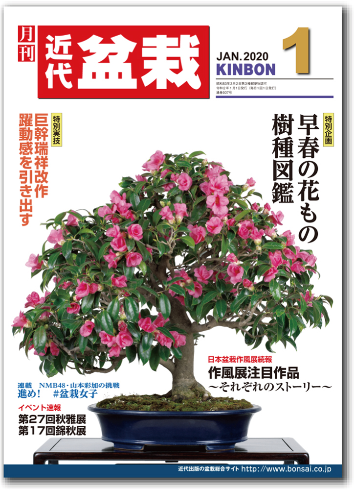 月刊「近代盆栽」2020年1月号