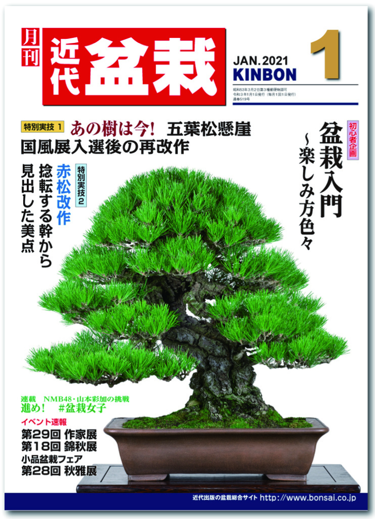 月刊「近代盆栽」2021年1月号