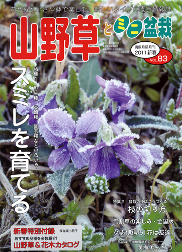 隔月刊「山野草とミニ盆栽」11年新春号