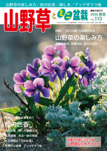隔月刊「山野草とミニ盆栽」16年新春号