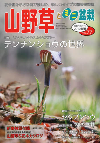 隔月刊「山野草とミニ盆栽」10年新春号