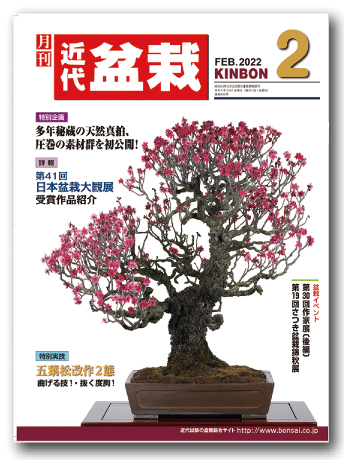 月刊「近代盆栽」2022年2月号