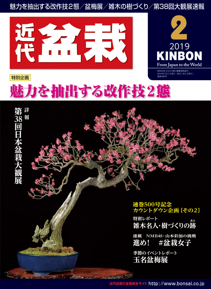 月刊「近代盆栽」2019年2月号