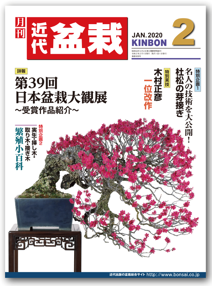 月刊「近代盆栽」2020年2月号