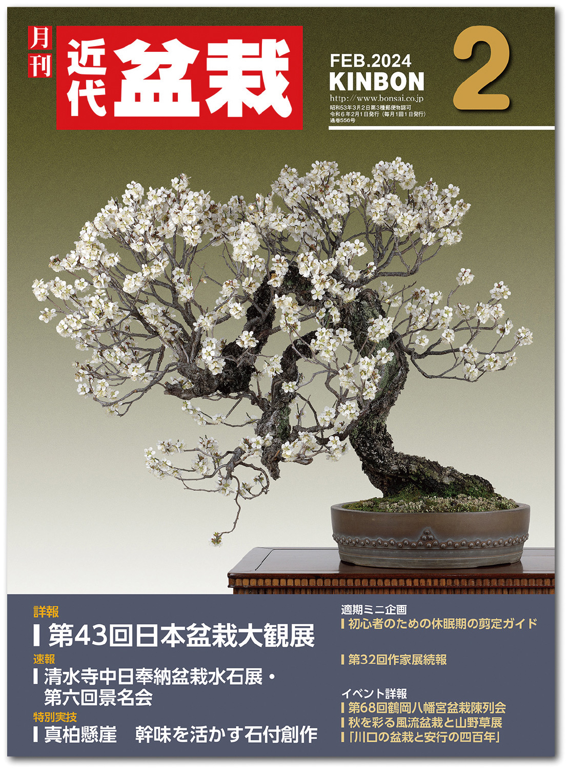 月刊「近代盆栽」2024年2月号