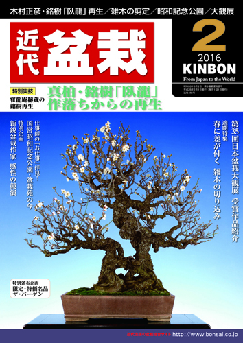 月刊「近代盆栽」2016年2月号